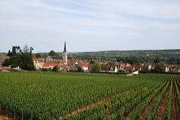 Santenay