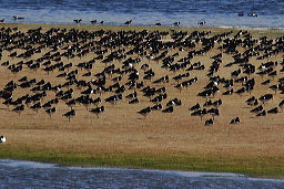 La Somme &copy;JF Macaigne