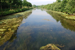 La Somme ©JF Macaigne