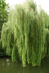 La Somme ©JF Macaigne