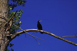 La Somme &copy;JF Macaigne