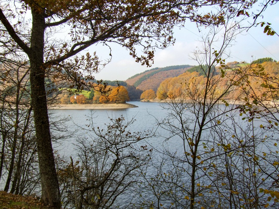 DSCF0509  Lac de la Haute Sûre - Insenborn