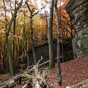 DSCF0551 Forêt de Müllerthal